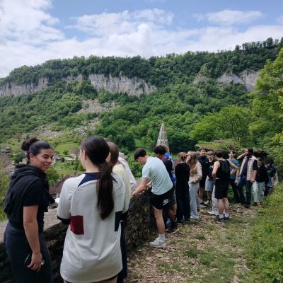 oplus_0
